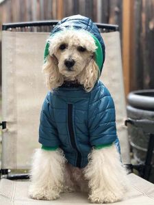Customizable Dog Winter Coats